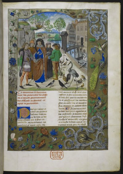 Bartholomaeus Angelicus, z De proprietatibus rerum w języku francuskim (Livre des proprietez des chooses), Royal 15 E III, f. 11 autorstwa Dutch School