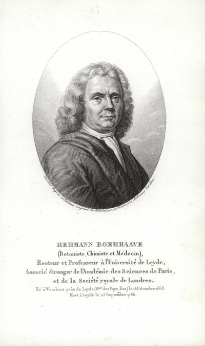 Herman Boerhaave autorstwa Dutch School