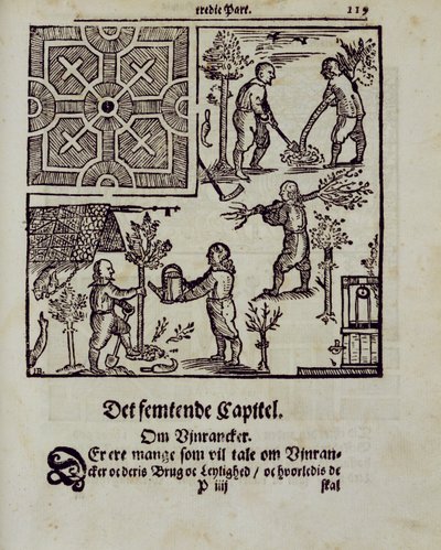 Sadzenie drzew, z książki „Holenderski ogrodnik” Johanna van der Groena, opublikowanej w 1699 r. autorstwa Dutch School