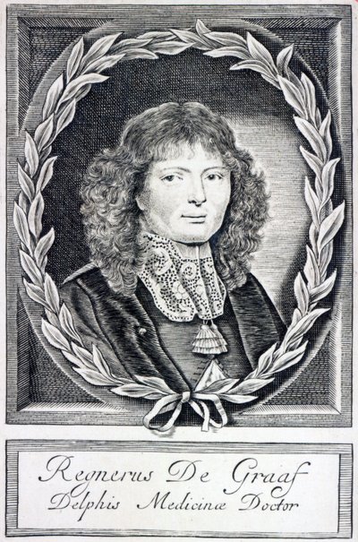 Regnier de Graaf, ok. 1670 autorstwa Dutch School