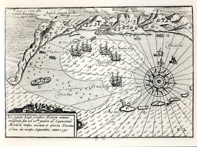 Przybycie wiceadmirała Wybrandta Van Warwijcksa Flotylli do południowo-wschodniego portu Mauritiusa we wrześniu 1598 roku autorstwa Dutch School
