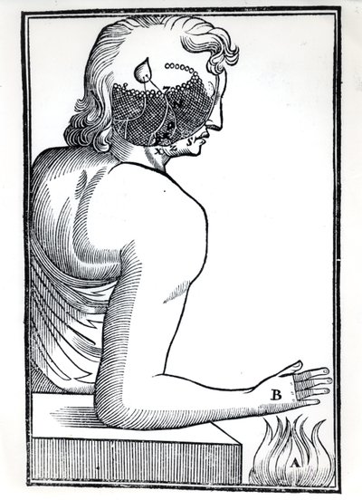 Percepcja zmysłów z De Homine Figuris Rene Descartes (1596-1650) opublikowanej w Amsterdamie, 1677 autorstwa Dutch School