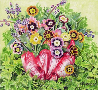 Auriculas, 2000 (akryl na płótnie) autorstwa E.B. Watts