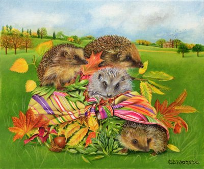 Hedgehogs Inside Scarf, 2000 (akryl na płótnie) autorstwa E.B. Watts