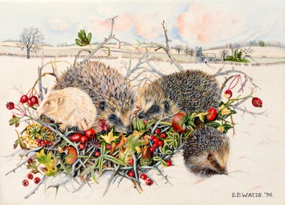 Jeże w Hedgerow Basket, 1996 (akryl na płótnie) autorstwa E.B. Watts