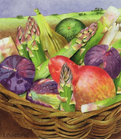 Czerwona gruszka z figami i szparagami, 1996 (akryl na papierze) autorstwa E.B. Watts