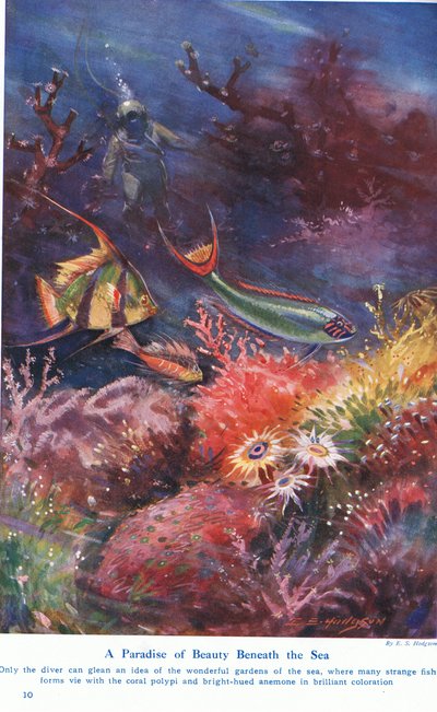 A Paradise of Beauty Beneath the Sea, ilustracja z „Wonders of Land and Sea”, wydanej przez Cassell, Londyn, 1914 autorstwa E.S. Hodgson