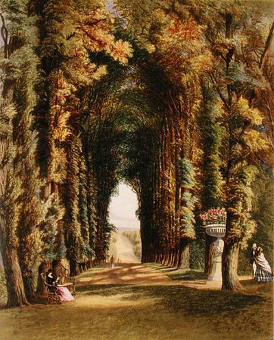 Vista" w ogrodzie w Teddesley, z "The Gardens of England", opublikowanego w 1857 r. (litografia kolorowa) autorstwa E. Adveno Brooke
