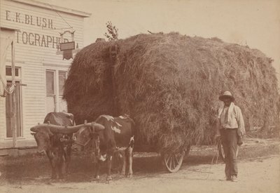 Odbitka albuminowa mężczyzny z pełnym wozem na siano, 1894-1904. autorstwa E. K. Blush