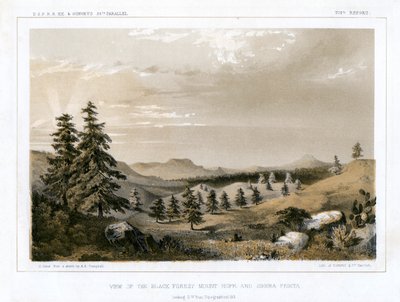 Czarny Las Góra Nadzieja i Sierra Prieta, USA, 1856. autorstwa E Stout