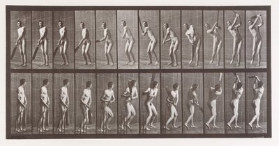 Lokomocja zwierząt. Elektrofotograficzne badanie kolejnych faz zwierząt..., lata 80. XIX wieku. autorstwa Eadweard Muybridge