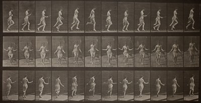 Lokomocja zwierząt, Tablica 174, 1887. autorstwa Eadweard Muybridge