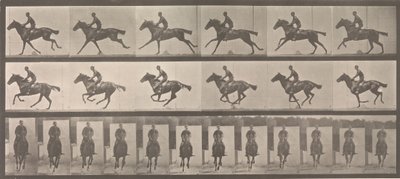 [Galop konny i jeździec], 1883-86, druk 1887. autorstwa Eadweard Muybridge