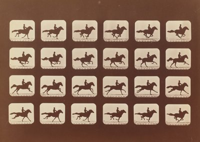 Konie. Działanie. Phyrne L. nr 40, 1879. autorstwa Eadweard Muybridge