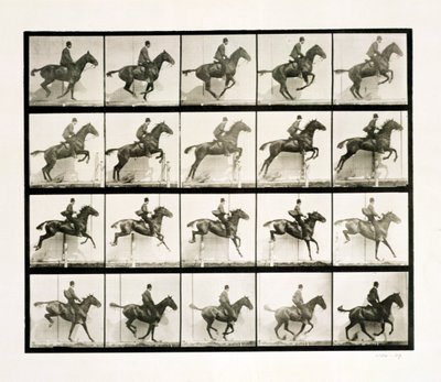 Człowiek i koń skaczący przez płot, 1887 autorstwa Eadweard Muybridge