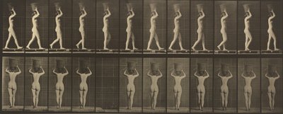 Numer płyty 34. Chodzenie i noszenie 15-funtowego. kosz na głowie, ręce wzniesione, 1887 r. autorstwa Eadweard Muybridge
