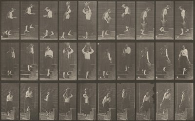 Numer rejestracyjny 504. Schody wchodzące i schodzące, 1887 r. autorstwa Eadweard Muybridge