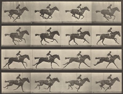 Numer rejestracyjny 626. Galop, klacz czystej krwi gniadej, Annie G., 1887. autorstwa Eadweard Muybridge
