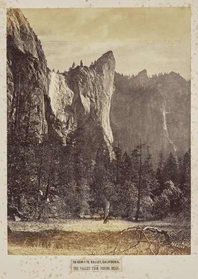 Dolina Yo-Sem-i-te, Kalifornia. Dolina z Pohono Meadows autorstwa Eadweard J. Muybridge