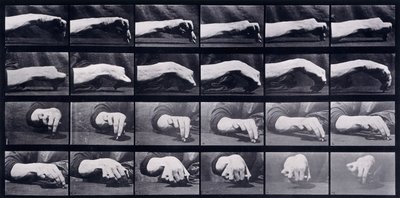 Studium ruchu ręki, ok. 1872-1885 autorstwa Eadweard Muybridge