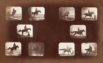 Ruch zwierząt (mężczyzna na koniu przez przeszkody) autorstwa Eadweard Muybridge