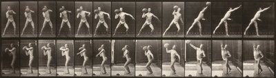 Ruch zwierząt (płytka 319) (Człowiek rzucający piłką) autorstwa Eadweard Muybridge