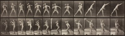 Lokomocja zwierząt, płyta 319, 1887 autorstwa Eadweard Muybridge