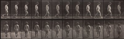 Lokomocja zwierząt, płyta 467 autorstwa Eadweard Muybridge