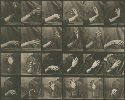 Ruch zwierząt, płyta 535 autorstwa Eadweard Muybridge