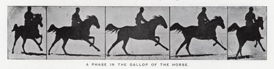Eadweard Muybridge: Faza galopu konia (zdjęcie czarno-białe) autorstwa Eadweard Muybridge