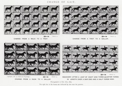 Eadweard Muybridge: Zmiana chodu (zdjęcie czarno-białe) autorstwa Eadweard Muybridge