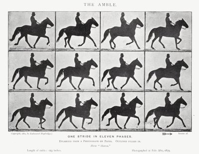 Eadweard Muybridge: The Amble (zdjęcie czarno-białe) autorstwa Eadweard Muybridge