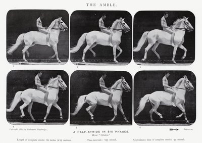 Eadweard Muybridge: The Amble autorstwa Eadweard Muybridge