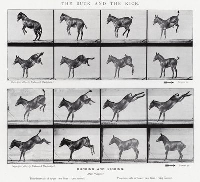 Eadweard Muybridge: The Buck and the Kick (zdjęcie czarno-białe) autorstwa Eadweard Muybridge