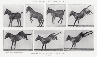 Eadweard Muybridge: The Buck and the Kick (zdjęcie czarno-białe) autorstwa Eadweard Muybridge