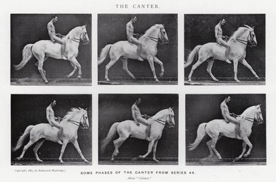 Eadweard Muybridge: Canter (zdjęcie czarno-białe) autorstwa Eadweard Muybridge