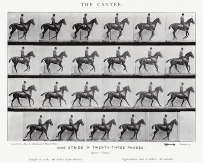 Eadweard Muybridge: Canter autorstwa Eadweard Muybridge