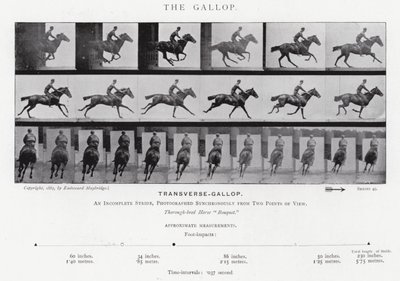 Eadweard Muybridge: Galop (zdjęcie czarno-białe) autorstwa Eadweard Muybridge