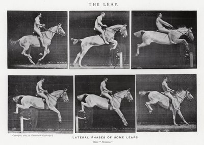 Eadweard Muybridge: The Leap (zdjęcie czarno-białe) autorstwa Eadweard Muybridge