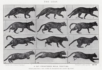 Eadweard Muybridge: Skok (zdjęcie czarno-białe) autorstwa Eadweard Muybridge