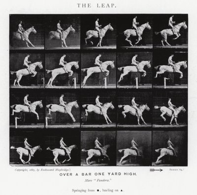 Eadweard Muybridge: The Leap (zdjęcie czarno-białe) autorstwa Eadweard Muybridge