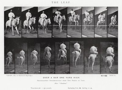 Eadweard Muybridge: The Leap (zdjęcie czarno-białe) autorstwa Eadweard Muybridge