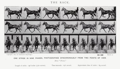 Eadweard Muybridge: The Rack (zdjęcie czarno-białe) autorstwa Eadweard Muybridge