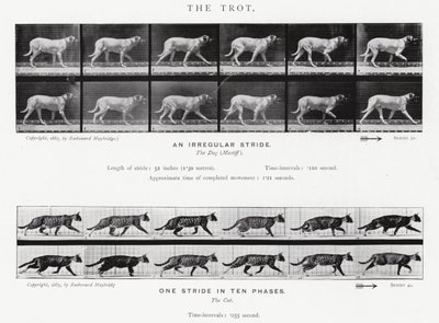 Eadweard Muybridge: Kłus (zdjęcie czarno-białe) autorstwa Eadweard Muybridge