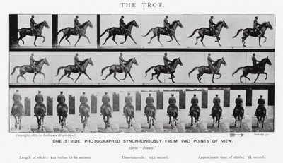 Eadweard Muybridge: Kłus (zdjęcie czarno-białe) autorstwa Eadweard Muybridge