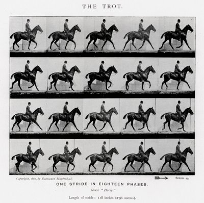 Eadweard Muybridge: Kłus autorstwa Eadweard Muybridge