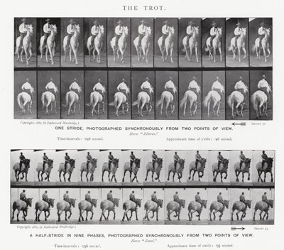 Eadweard Muybridge: Kłus autorstwa Eadweard Muybridge