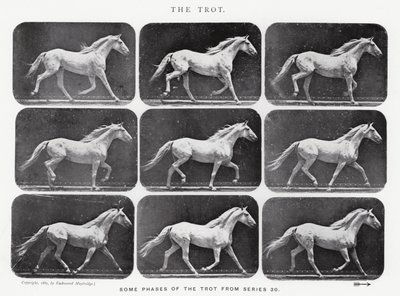 Eadweard Muybridge: Kłus autorstwa Eadweard Muybridge