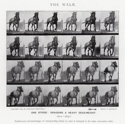 Eadweard Muybridge: The Walk (zdjęcie czarno-białe) autorstwa Eadweard Muybridge