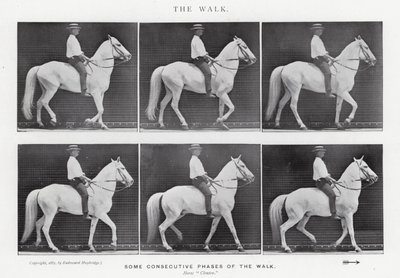 Eadweard Muybridge: The Walk (zdjęcie czarno-białe) autorstwa Eadweard Muybridge